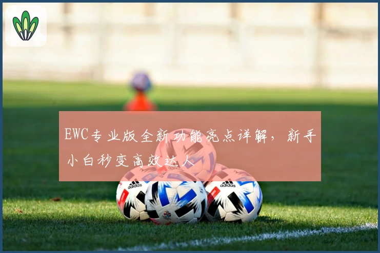 EWC专业版全新功能亮点详解，新手小白秒变高效达人