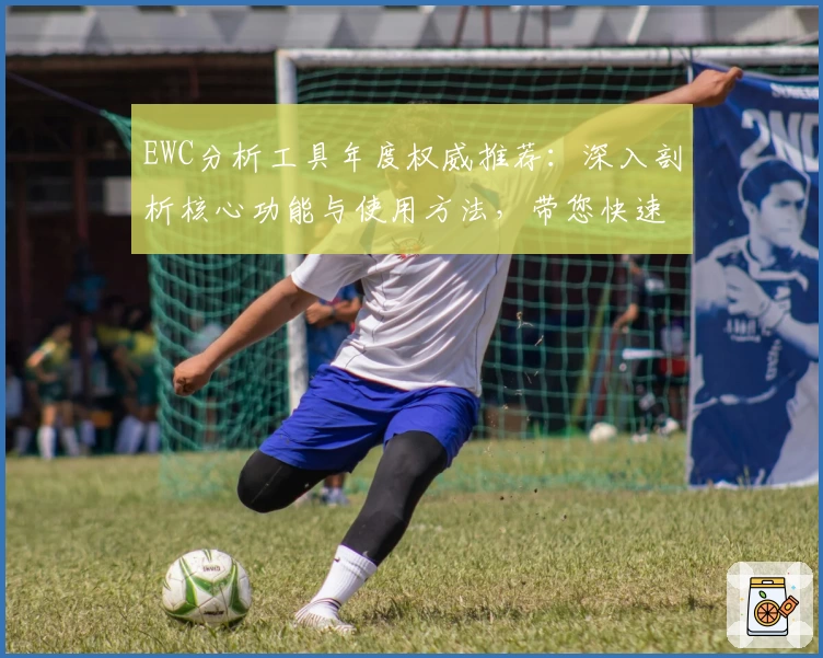 EWC分析工具年度权威推荐：深入剖析核心功能与使用方法，带您快速上手